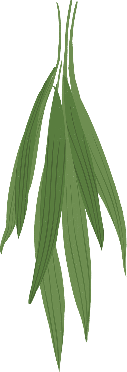 海华生物