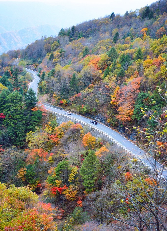 神农架秋摄华中屋脊斑斓之秋梦幻大九湖