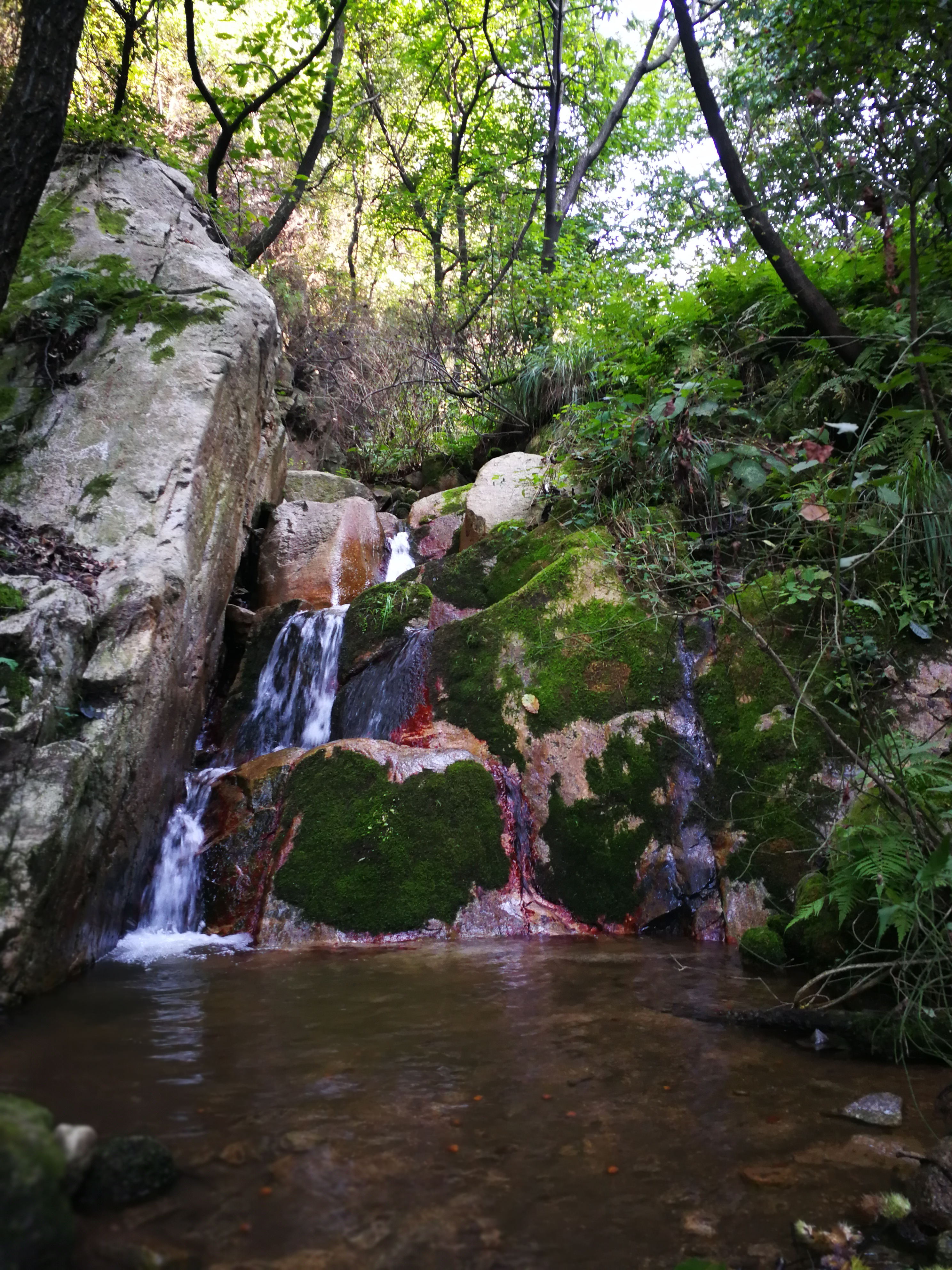 白石峪穿子午峪,古道采摘